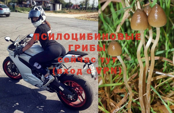 дурь Балахна