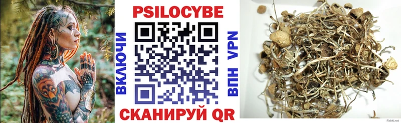 Галлюциногенные грибы Cubensis Кувшиново
